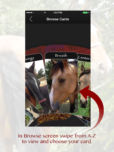 【免費生活App】The Breath of the Horse Cards-APP點子