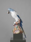 Johann Joachim Kändler, Blue Macaw, c. 1731