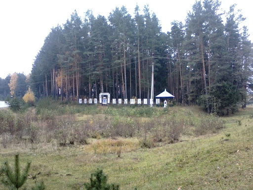 Село Кокшайск