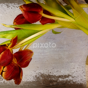 Red Tulips in a Vase by Astrid Pardew - Artistic Objects Other Objects