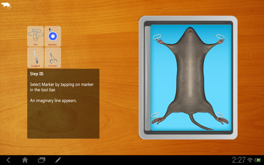 Rat Dissection for tablet Screen 2