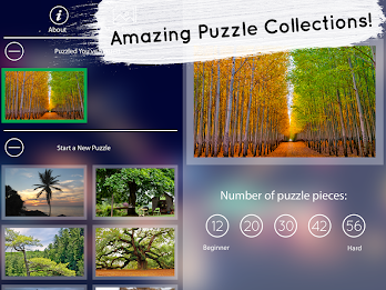 Venn Trees: Circle Jigsaw poster 10