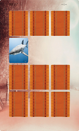 Shark Matching poster 3