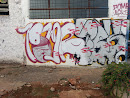 Graffiti 506