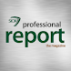 Prof. Report