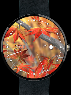 Autumn Tree Watch Face(圖3)-速報App