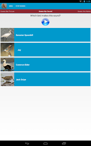 免費下載教育APP|Spanish Birds Sounds app開箱文|APP開箱王