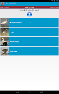 Spanish Birds Sounds Screenshots 4