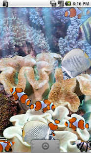 真正的水族館 -  LWP(圖4)-速報App