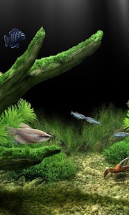 How to mod Aquarium Live Wallpapers 1.2 unlimited apk for pc
