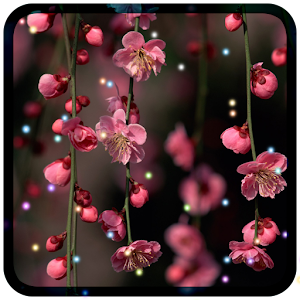 Flowers Livewallpaper.apk 1.0.5