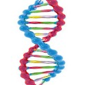 DNA 3d live wallpaper logo
