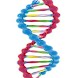 DNA 3d live wallpaper