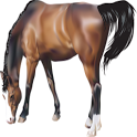 Horses True Or False Game icon