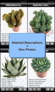 免費下載書籍APP|Cactus Plant Encyclopedia app開箱文|APP開箱王