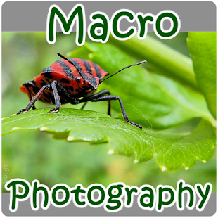 Free Download Macro Photography APK for PC