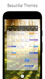 Business Calendar 2 Pro 3