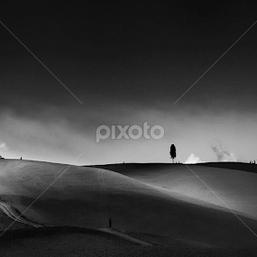 Tuscany by Claudio Minghi - Landscapes Prairies, Meadows & Fields