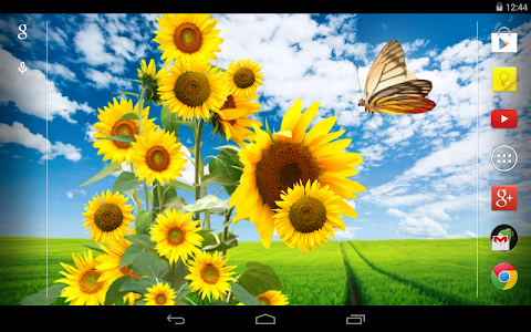 Sunflower Live Wallpaper screenshot 4