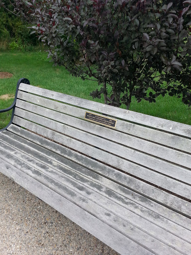 Rizzoli Campanella Memorial Bench