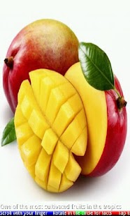 Fruits and Berries - náhled