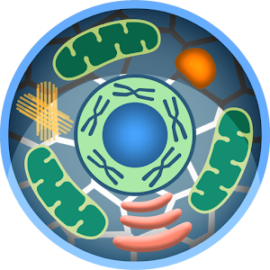 Cell World 1.0