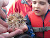 A young cruiser inspects a puffer fish on an Un-Cruise Adventures sailing.