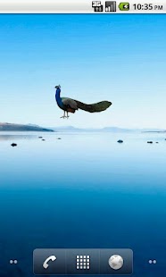 How to mod Peacock Sticker 1.0 apk for android