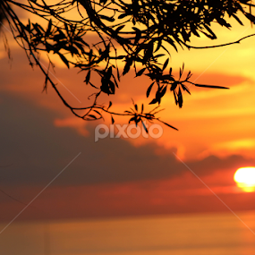 its almost impossible to watch a sunset and not dream... by Karim Sabbagh - Landscapes Sunsets & Sunrises