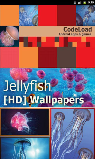 Jellyfish [HD] Wallpapers