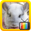 Kids TV Mouse logo