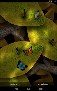 Tap Leaves Live Wallpaper(圖3)-速報App