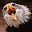 Eagles Wallpapers Download on Windows