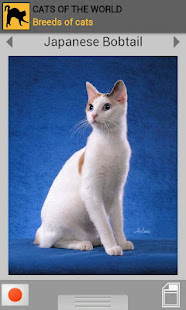 Cats of the world(圖1)-速報App