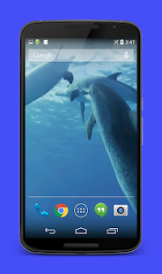 How to get Dolphins Video Live Wallpaper patch 3.0 apk for pc