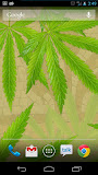 MaryJane Free Live Wallpaper