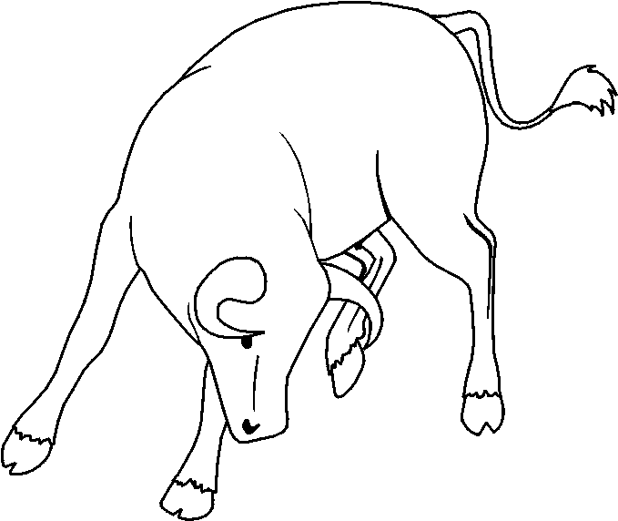 My Image 8