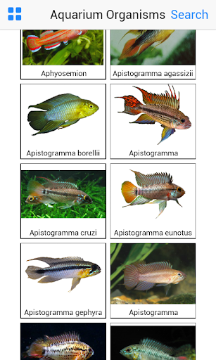 Aquarium Organisms