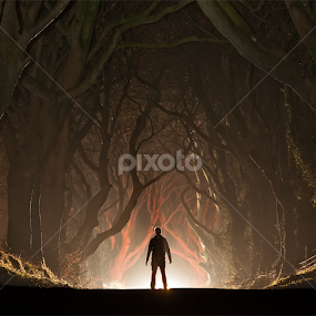 'Encounters' by Brens Photo's - Landscapes Travel