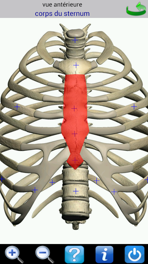 Visual Anatomy (payant +free) 6FzFmNkJlw1_uAYs3UUP48Urfu47BDERboCS8mApaMOzMgOQ9qxMQldyoyEyxl6Z6u7A=h900