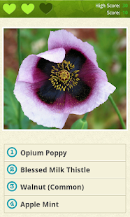 Medicinal Plants PRO(圖5)-速報App