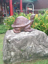 Resting Tortoise Statue