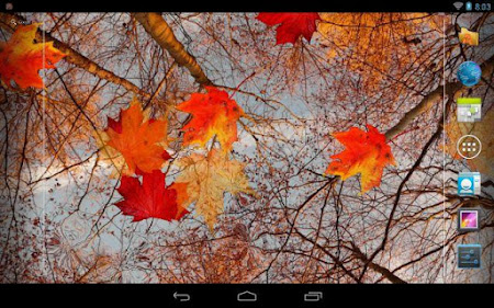 Autumn Maple Live Wallpaper 7.0.5 Apk, Free Personalization Application – APK4Now