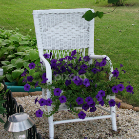 Chair Garden by Marsha Biller - Artistic Objects Furniture