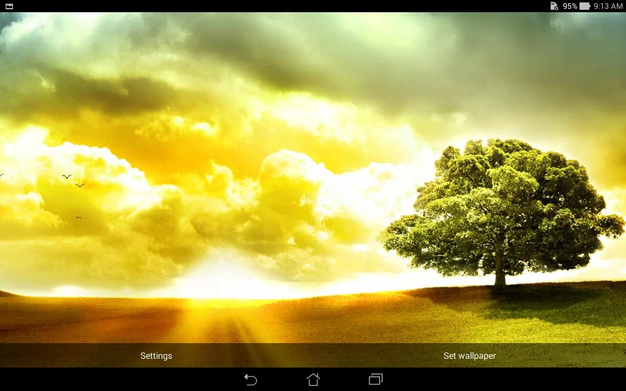 ASUS DayScene Live Wallpaper Apl Android Di Google Play