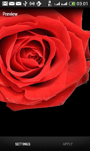Free Download Rose Wallpaper Free APK