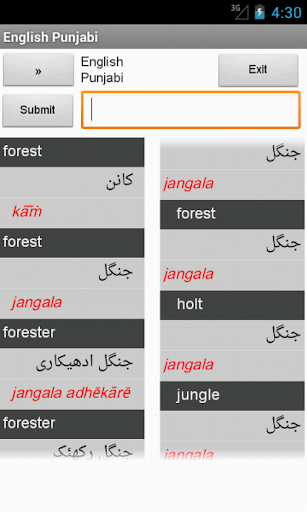 Punjabi English Dictionary