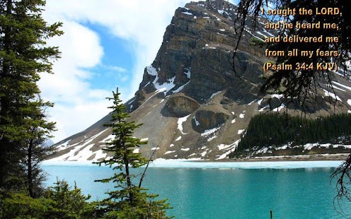   Chronological Bible Studies- screenshot thumbnail   