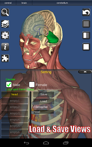 3D Bones and Organs (Anatomy)  screenshots 14