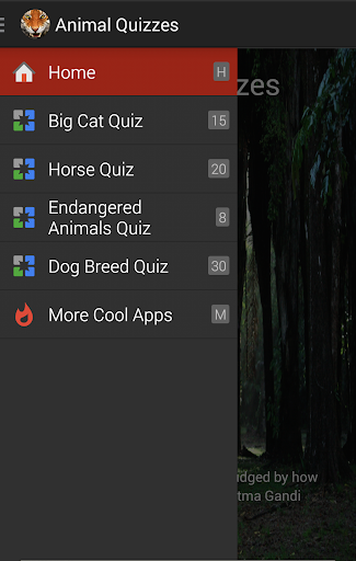 Animal Quizzes